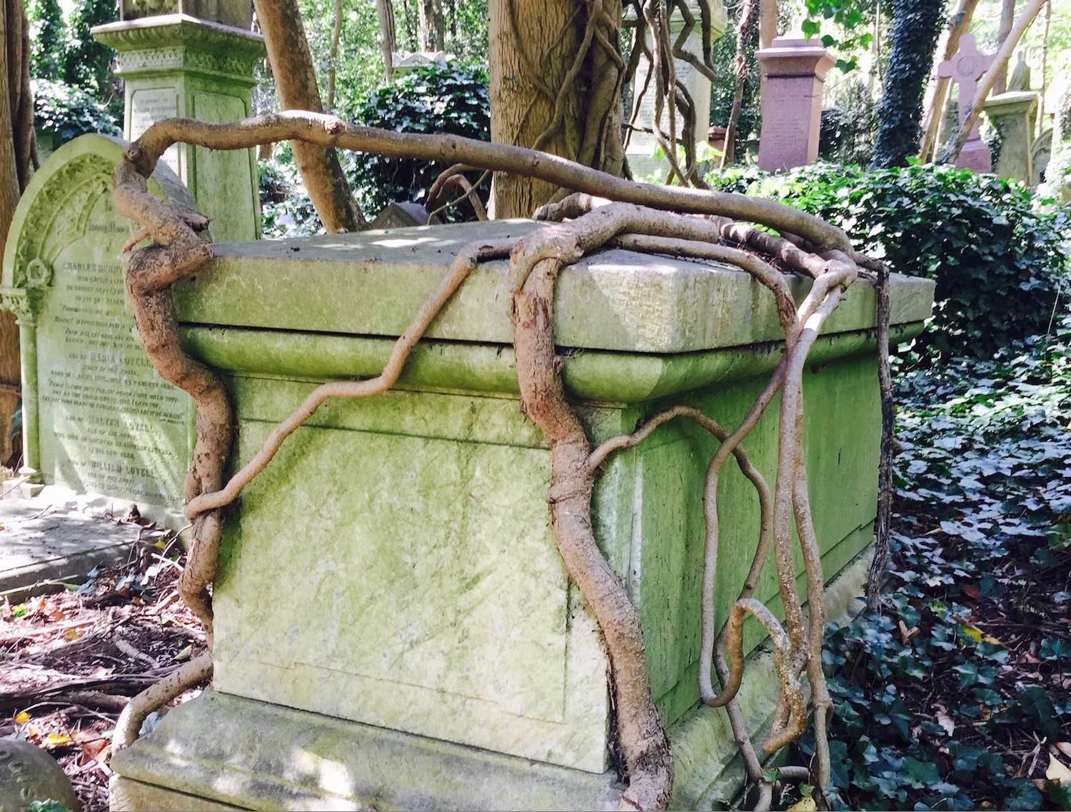Beautiful%2Btomb%2Bentangled%2Bin%2Broots%2Bin%2BHighgate%2BCemetery%2C%2BLondon.jpg