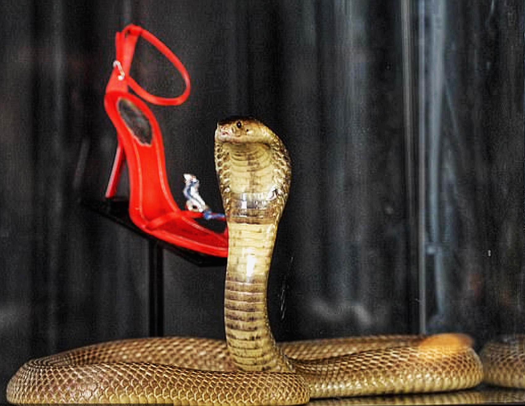 Cobra and Sandal Harrods.jpeg
