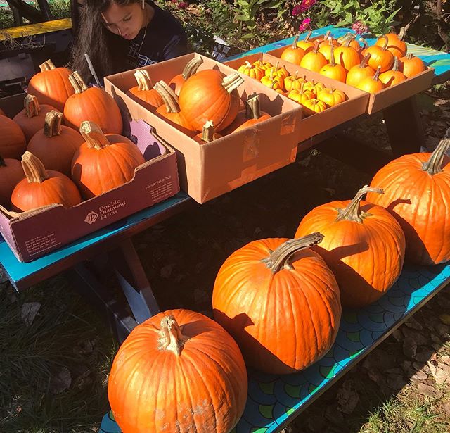 Time to paint some pumpkins! Stay tuned for our student&rsquo;s creations 🎃 .
.
#arttherapy #artheals #healingarts #makeartwithkids #photographyforkids #murals #muralpainting #communitymurals #collaborativearts  #volunteer #nonprofit #giveback #ther