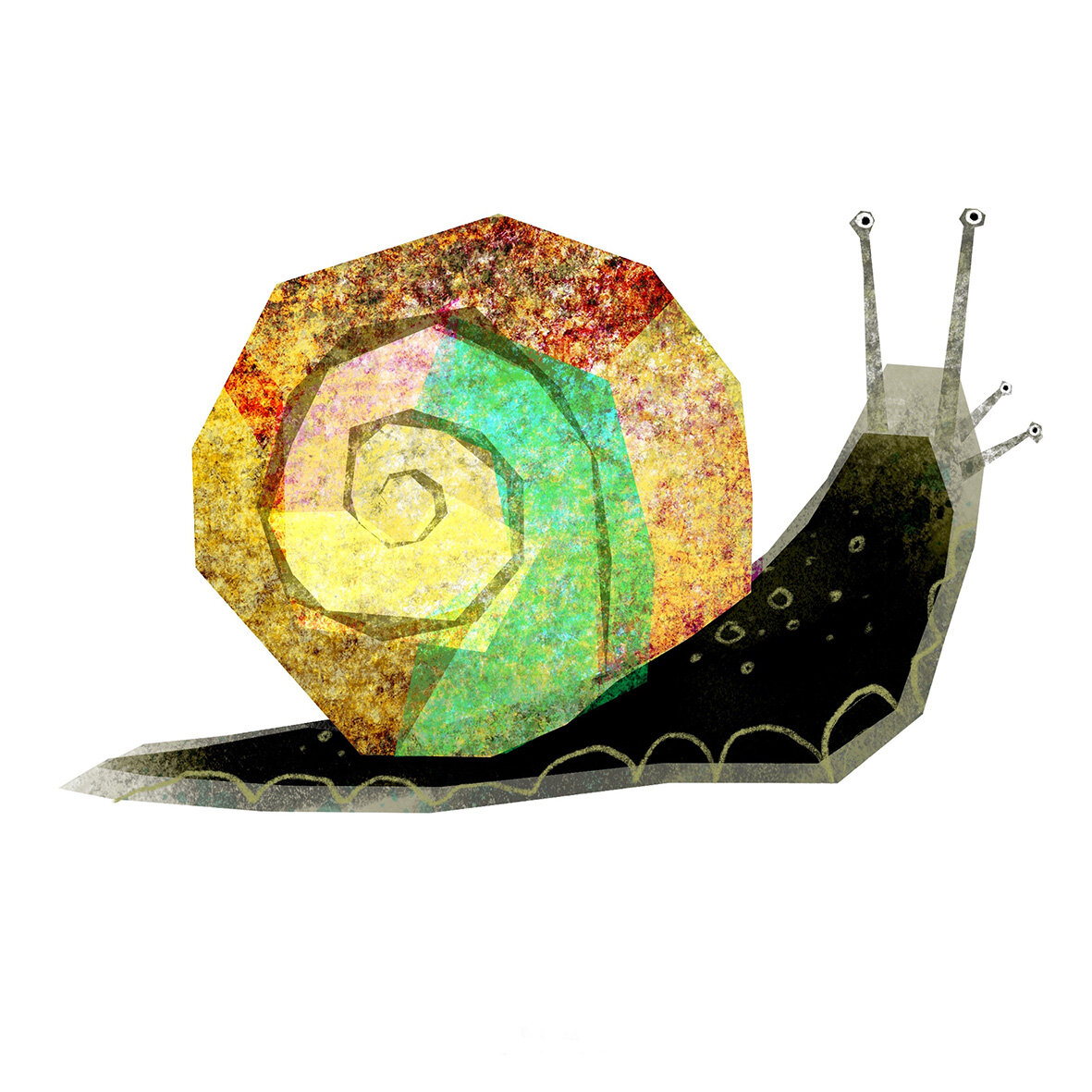 snail.jpg