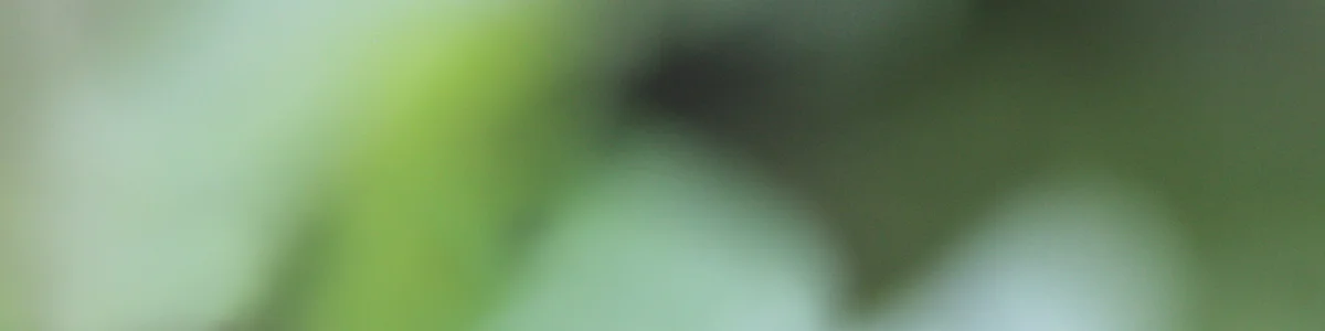 IST_Header_1.jpg