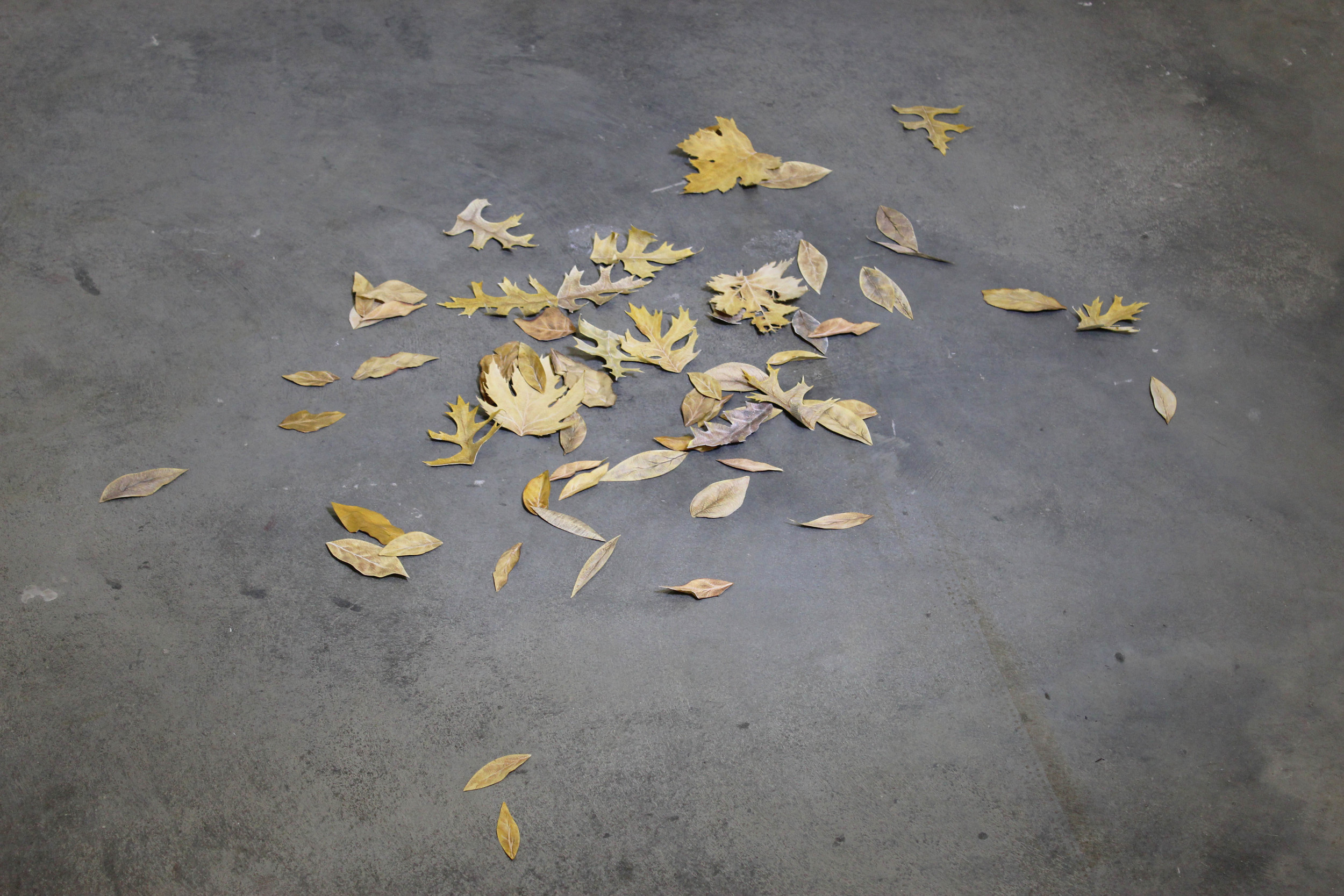 Untitled (Pile of Leaves)