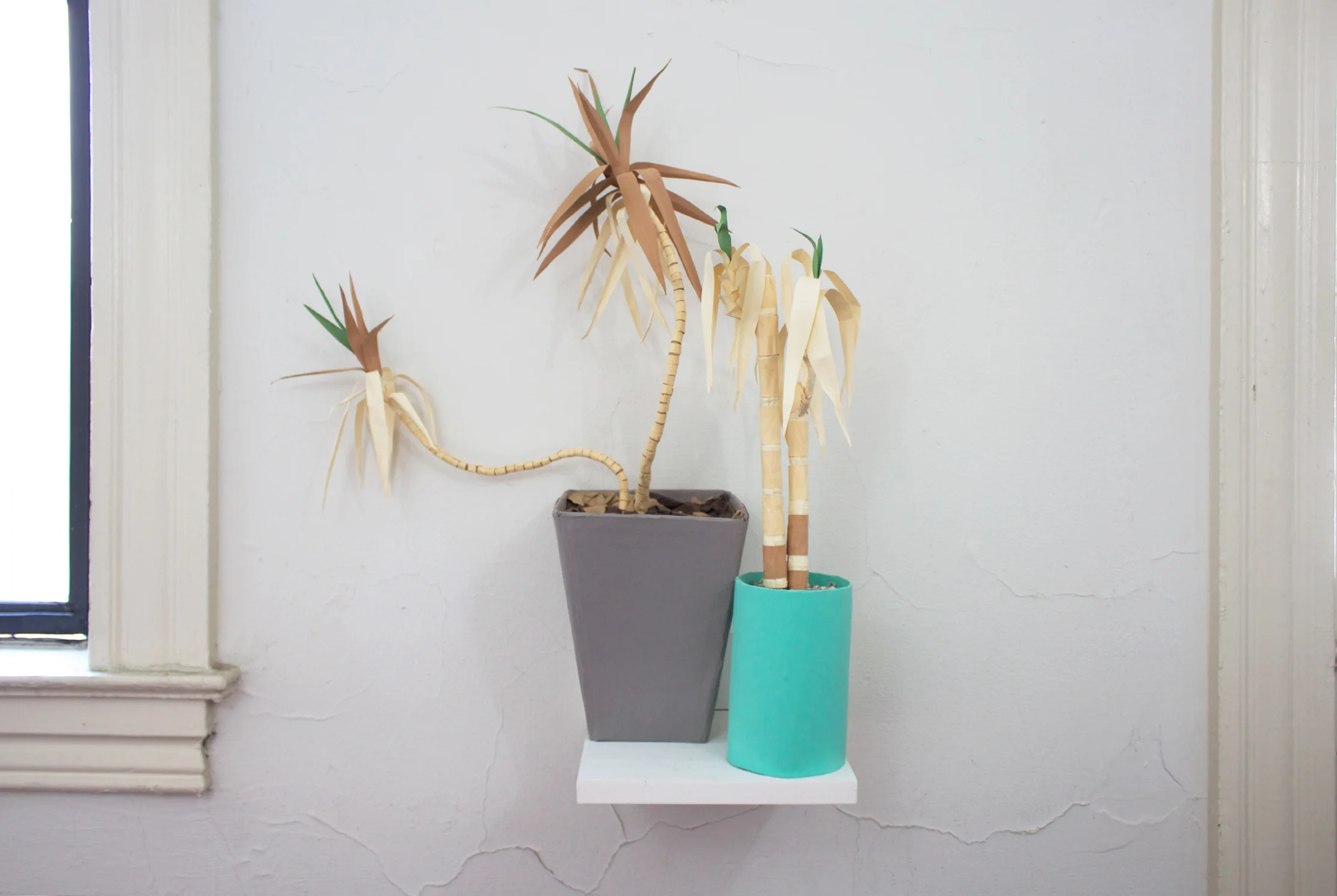 Dying House Plants, 2017