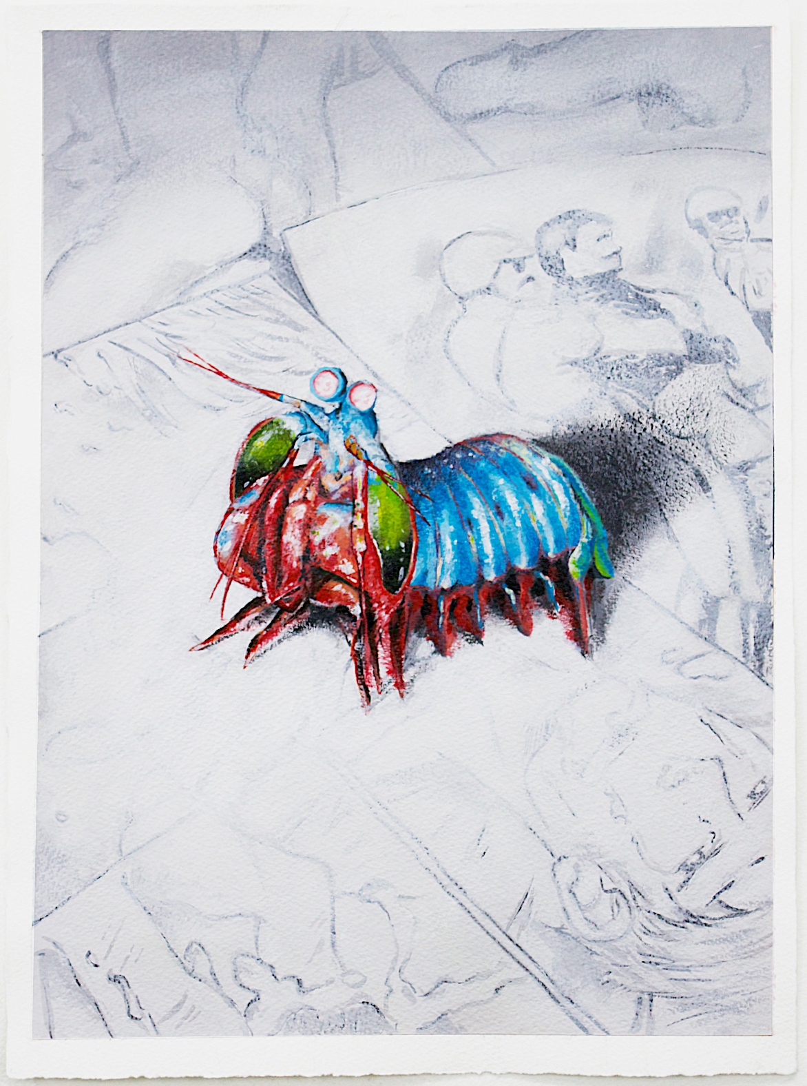 Mantis Shrimp on Comics