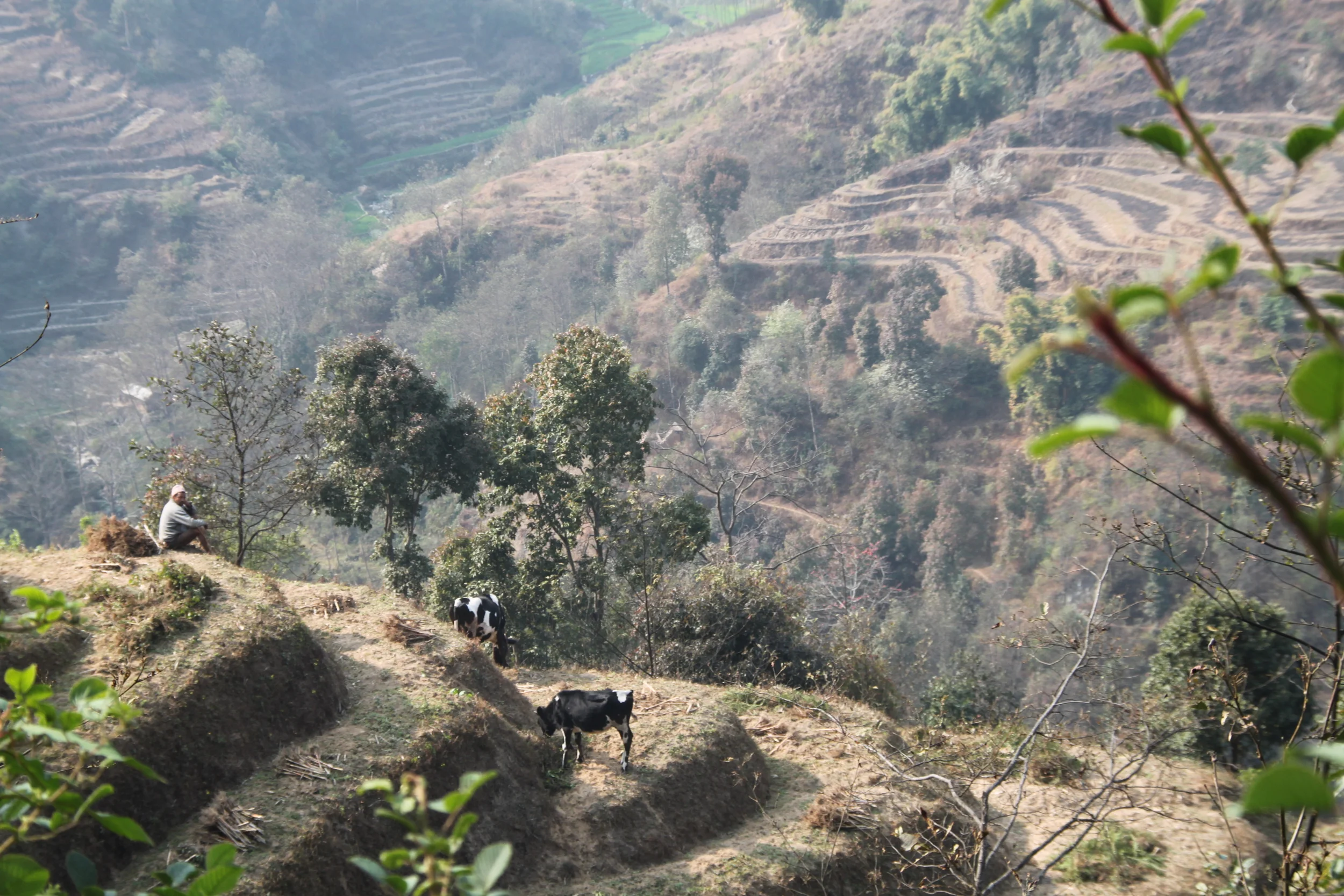 Nepal