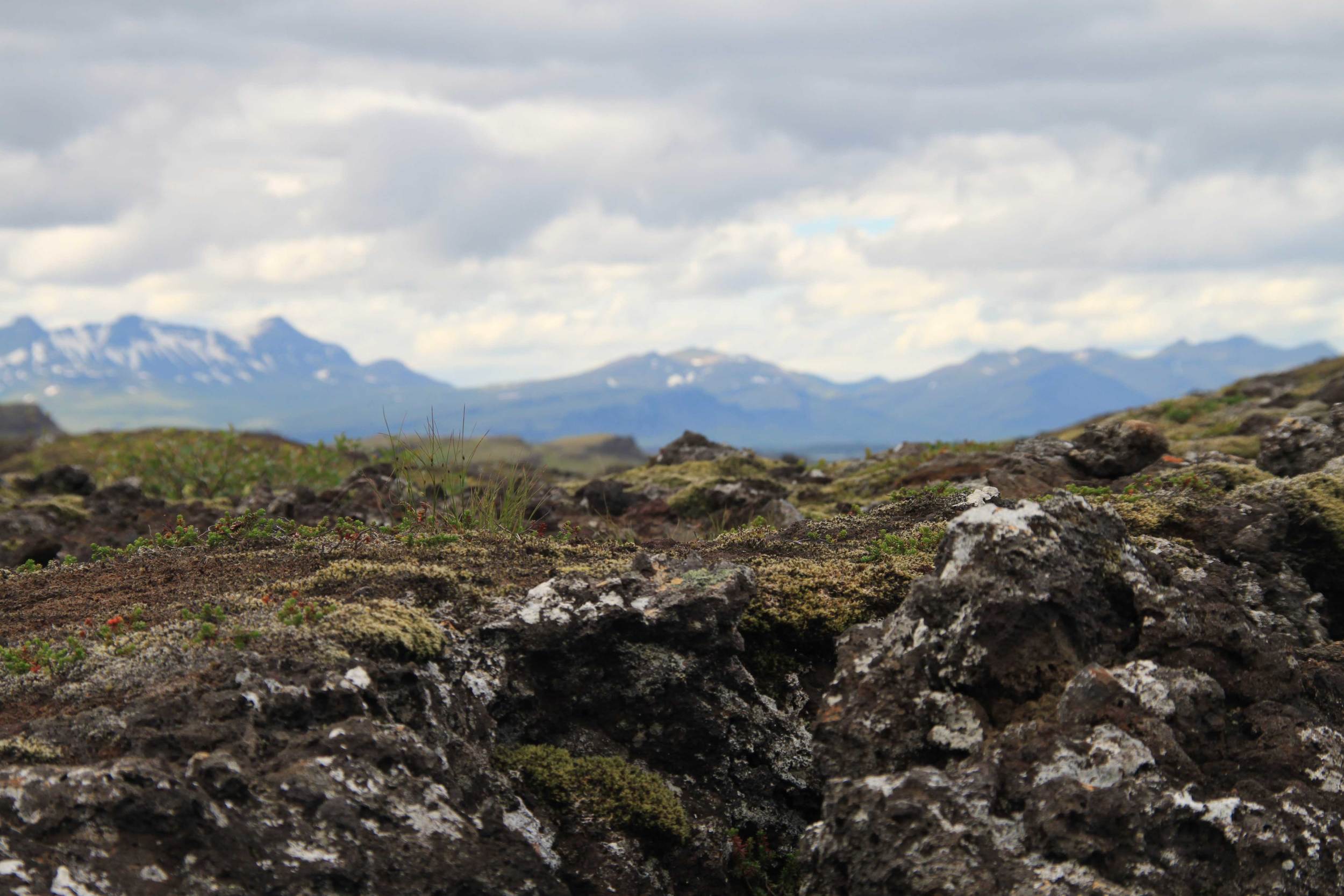 Iceland