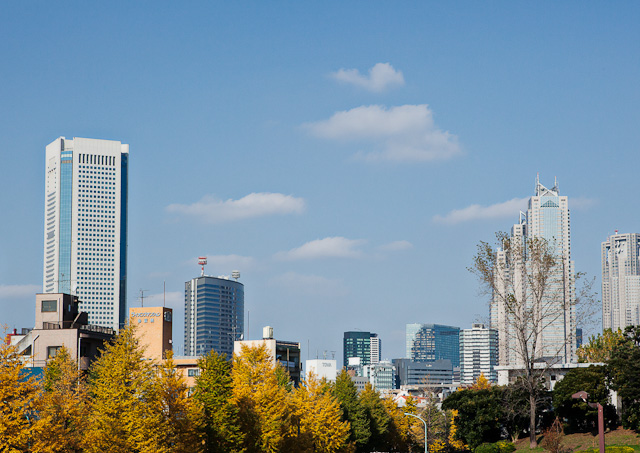 Yoyogi_6