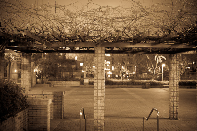 Meguro_River's_Edge