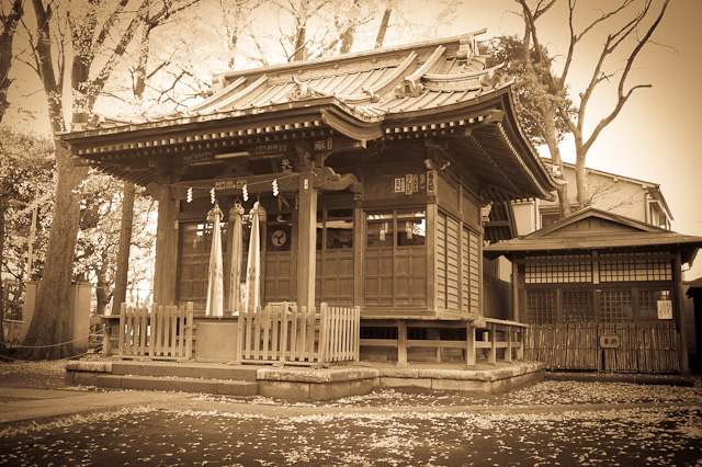 Tenso_Jinja