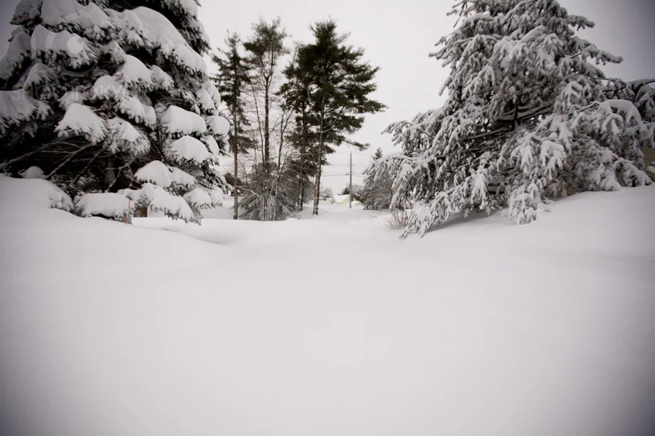 Good_Morning_Snow_4