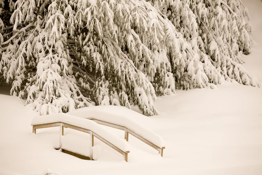 Good_Morning_Snow_6