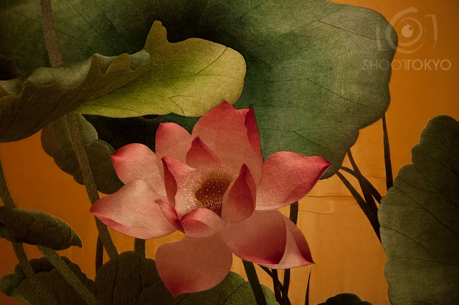 Lotus