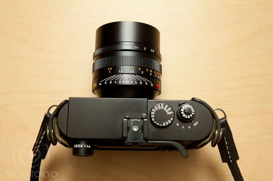 Noctilux_10
