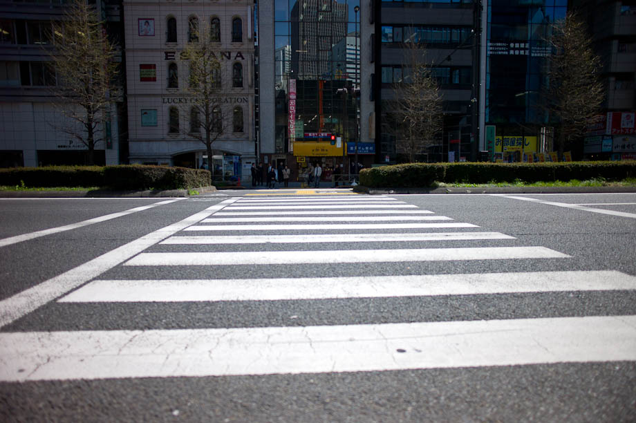 Crossing in Shinjuku, Tokyo, Japan