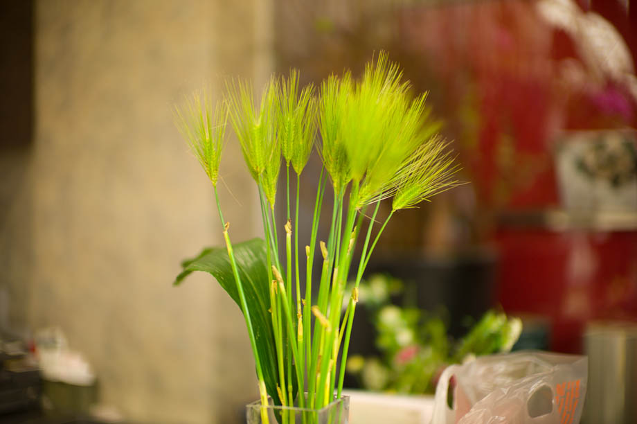 Ito Flower in Nakameguro, Tokyo, Japan