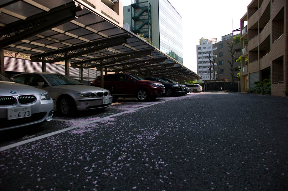 My drive way in Nakameguro, Tokyo, Japan