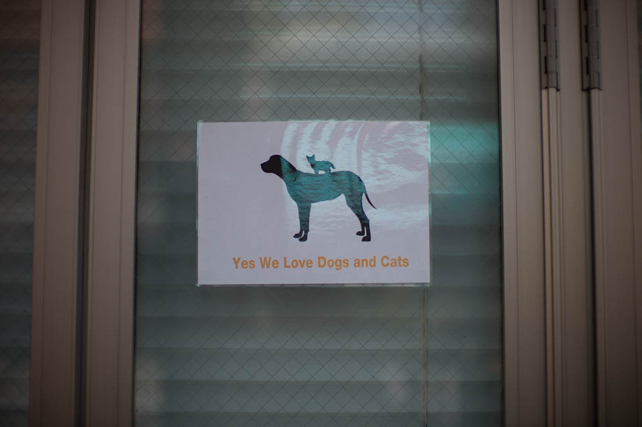 Dog and Cats welcome at a cafe in Nakaemeguro, Tokyo, Japan
