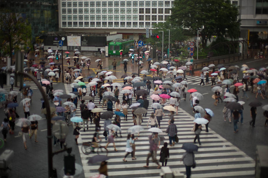 Rainy Shibuya Crossing