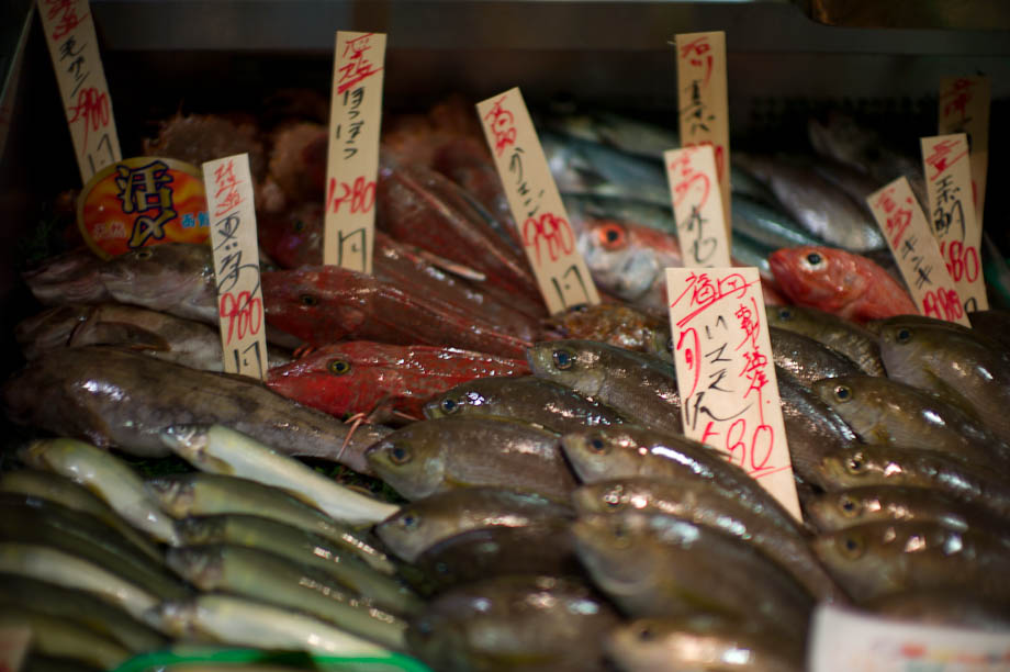 Fish for sale in Tokyo, Japan