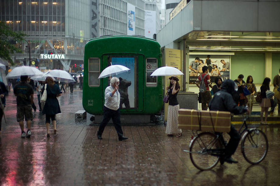 Rainy Hachiko, Shibuya, Tokyo, Japan