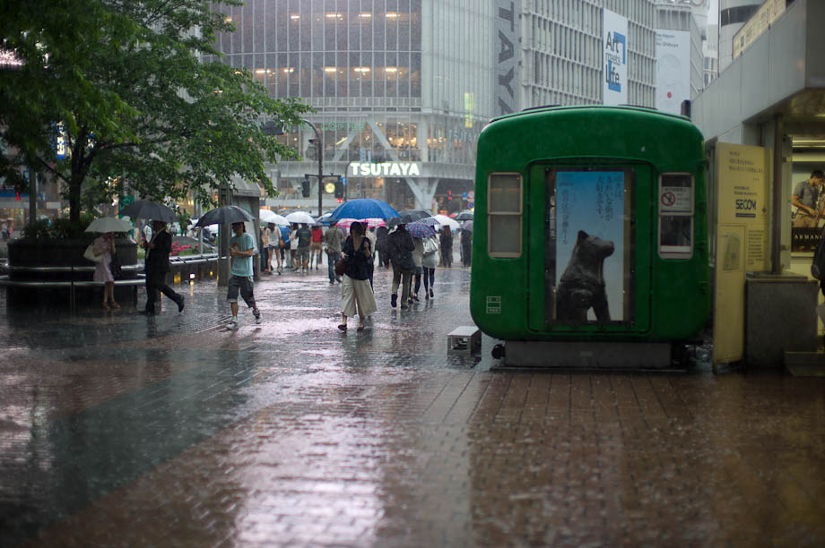 Rainy Hachiko, Shibuya, Tokyo, Japan