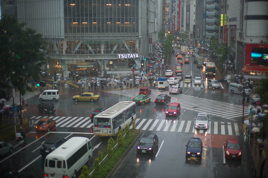 Rainy Shibuya Crossing