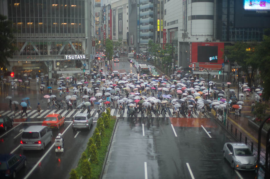 Rainy Shibuya Crossing