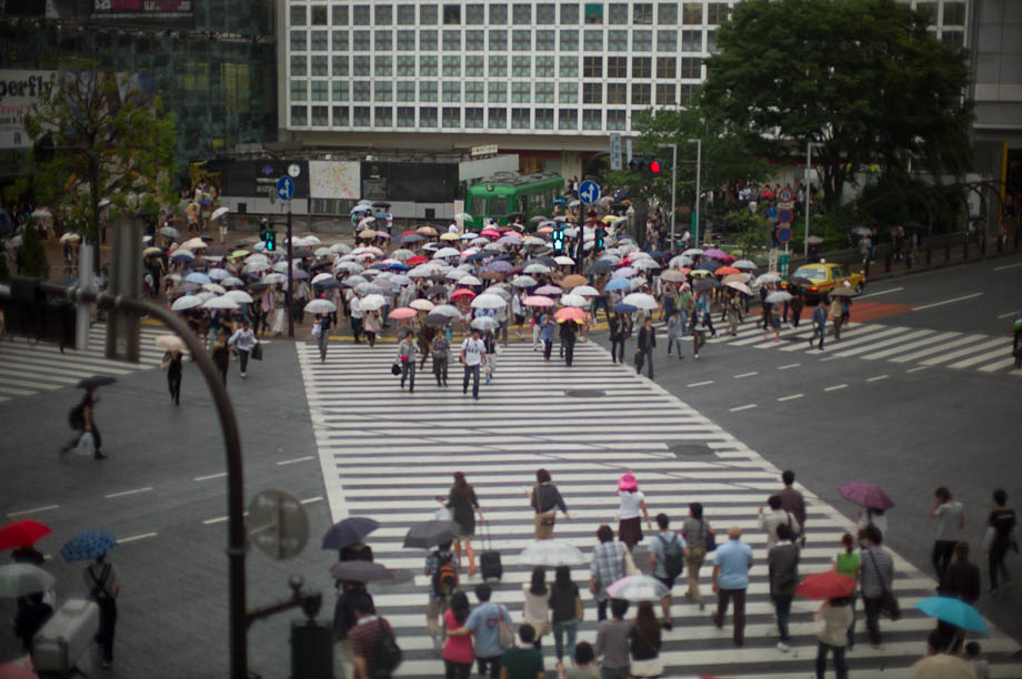 Rainy Shibuya Crossing