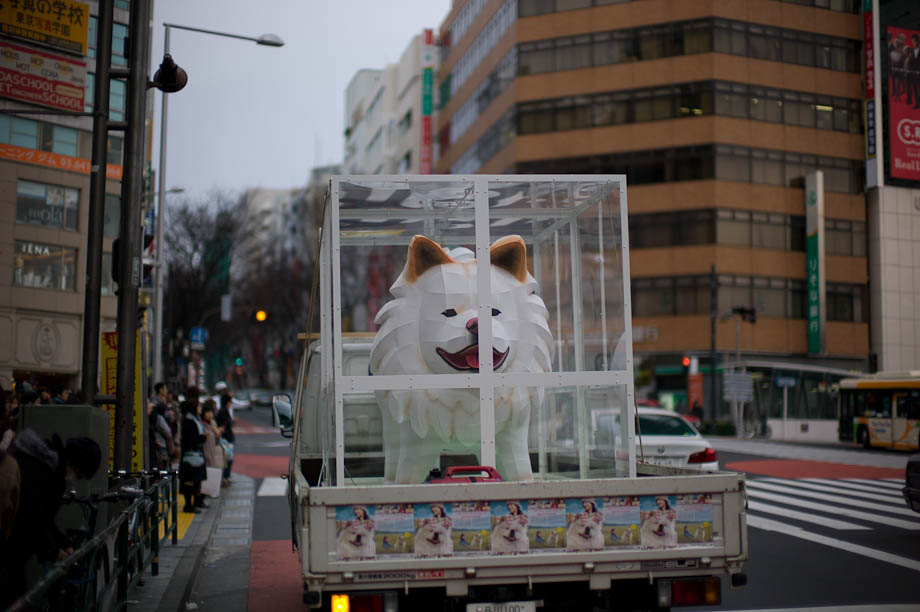 Free Hachiko