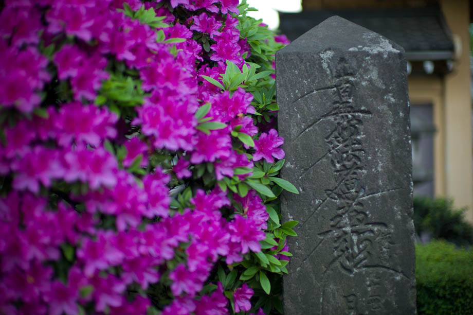 Nakameguro
