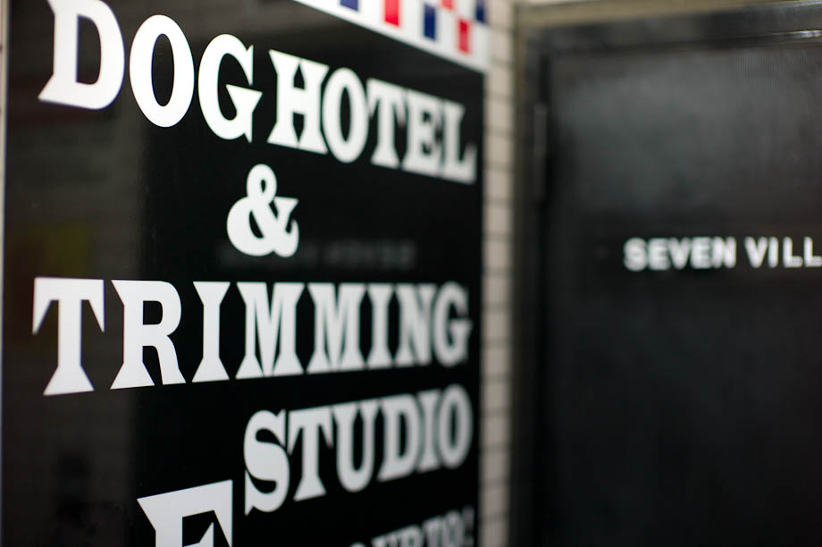 Dog Hotel and Trimming Studio in Nakameguro