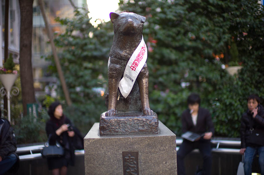Hachiko in Shibuya, Tokyo, Japan