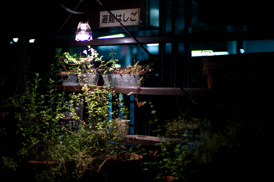 Garden in Jiyugaoka