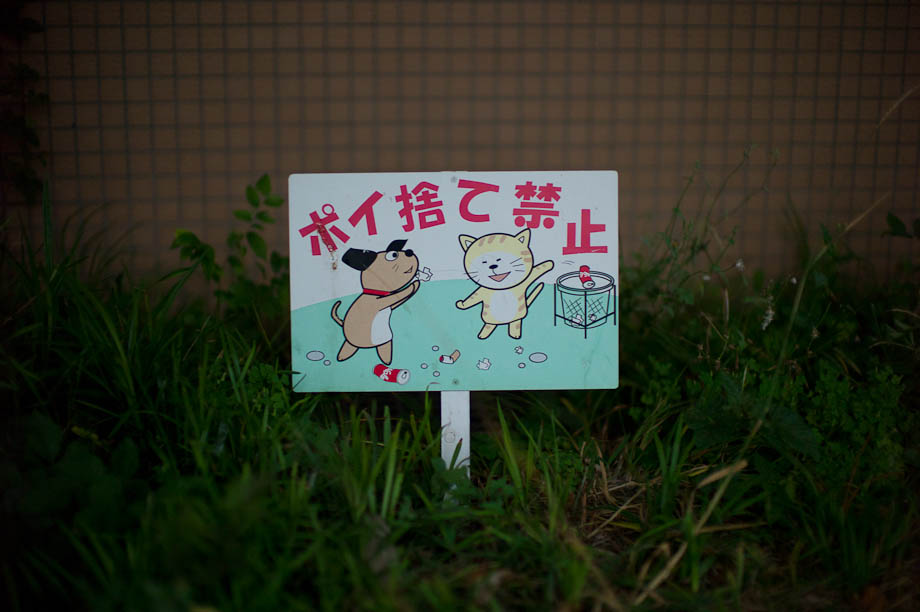 Clean up after your dogs