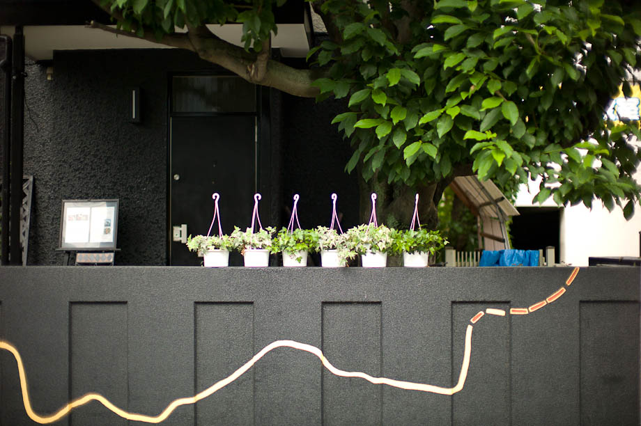 Plants