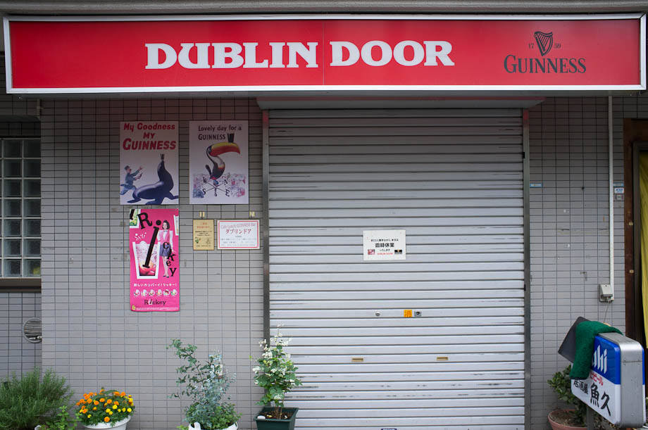 The Dublin Door