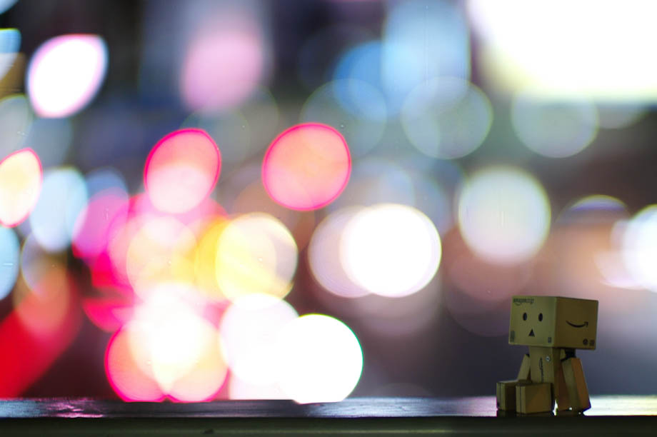 Danbo Big City Lights