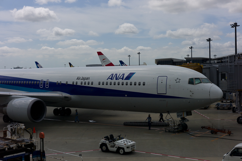 ANA Flight