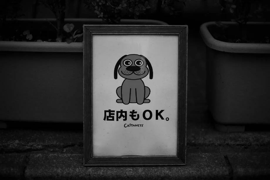Dogs OK