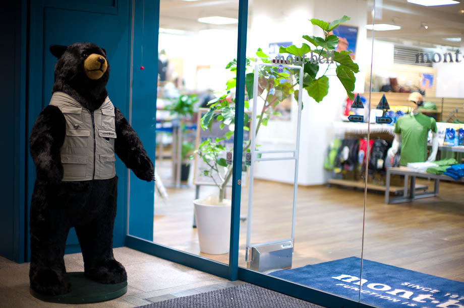 Bear in Shinjuku