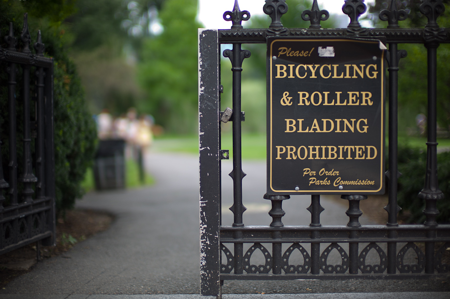 Boston Public Garden