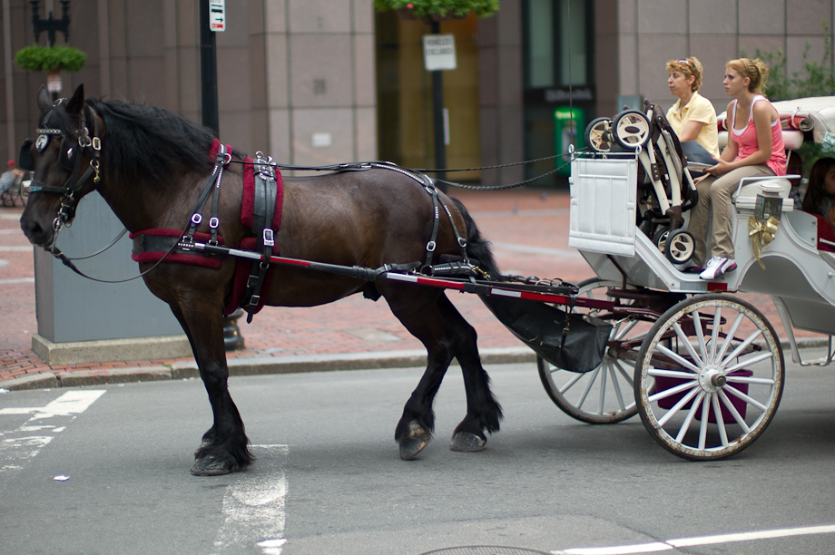 Horse and Carriage