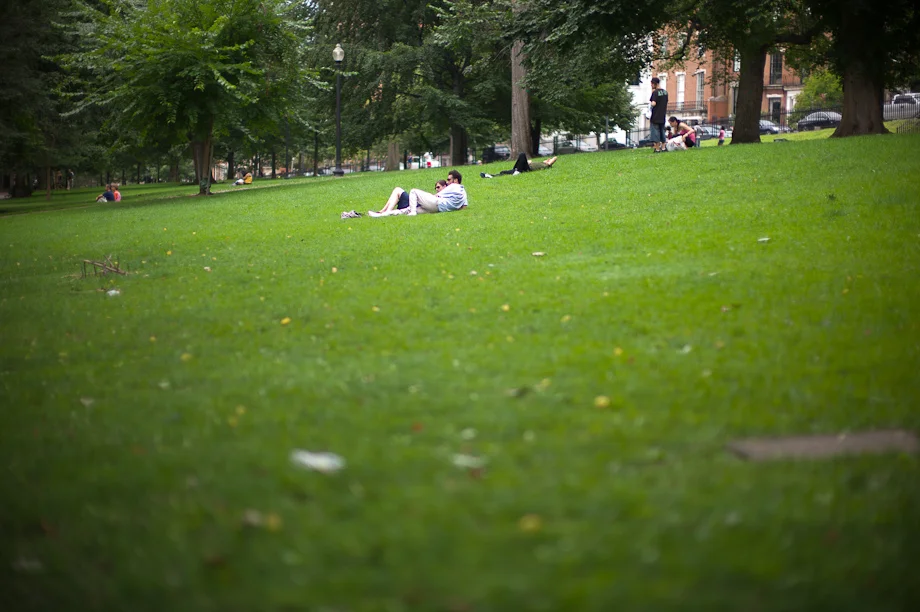 Lounging in Boston Common