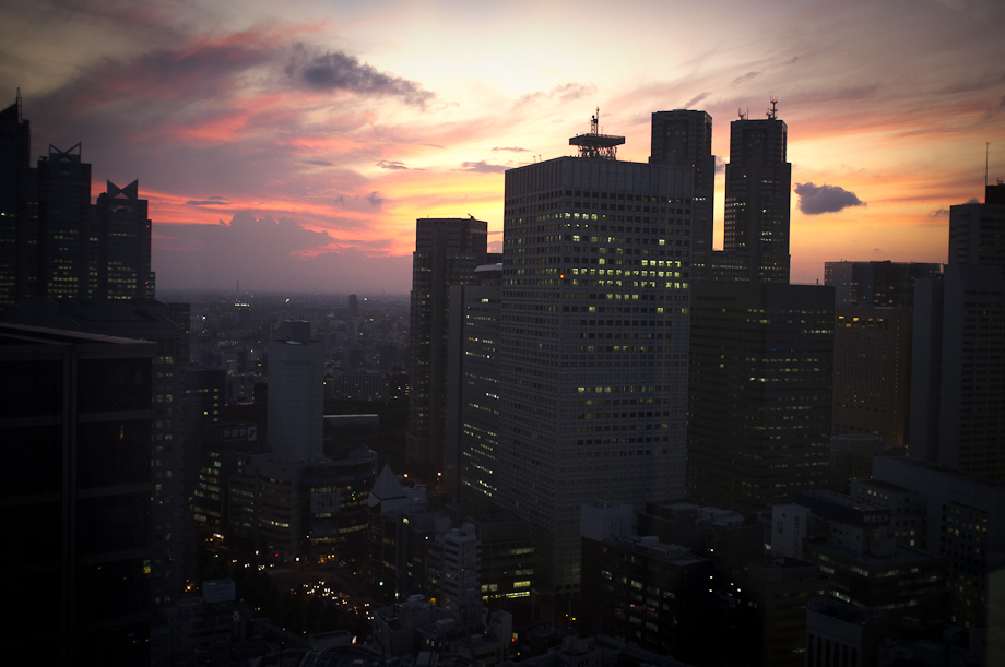 Shinjuku Sunset