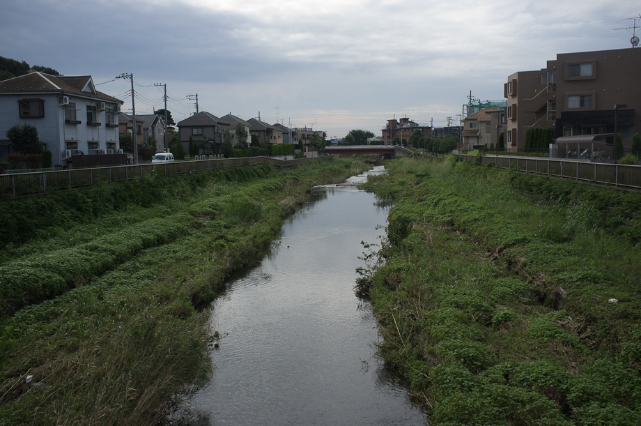 Riding along Tamagawa River with the Tokyo Cranks
