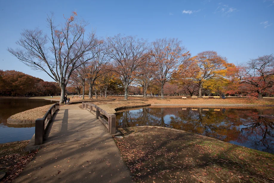 Yoyogi Park