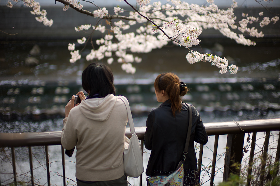 Ohana mi in Nakameguro