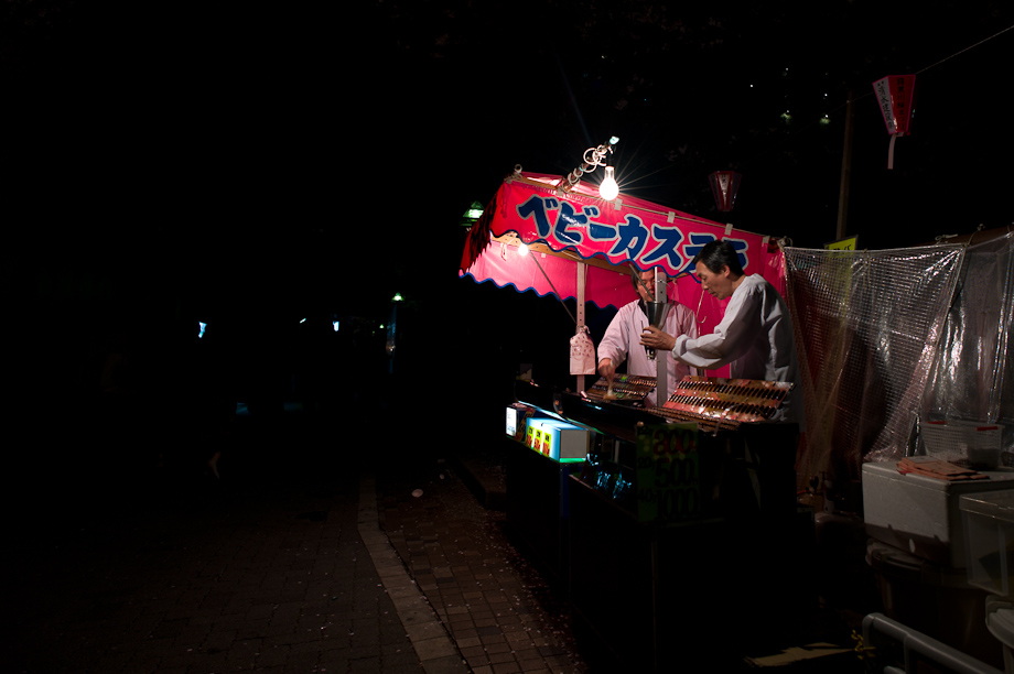 Cherry Blossoms in Nakameguro at Night