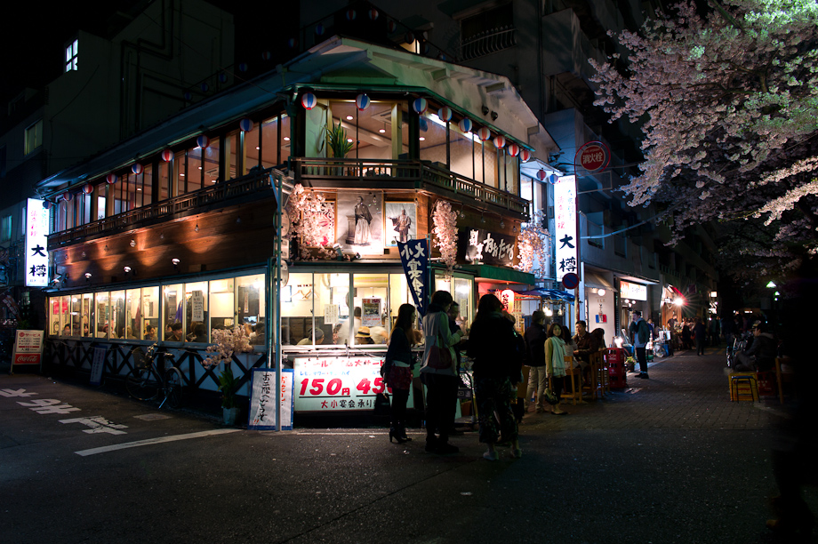 Cherry Blossoms in Nakameguro at Night