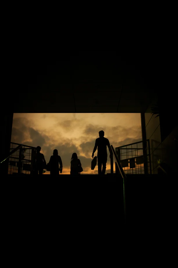 Sunset Silhouette